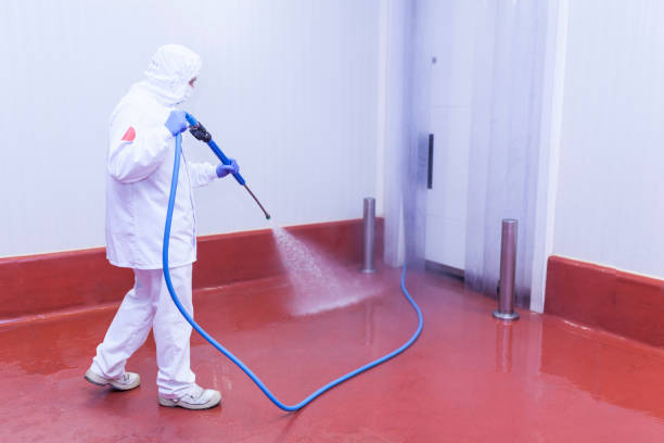 Pre-Holiday Cleaning in Florida City, FL