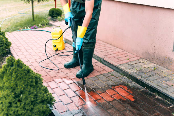 Best Animal Enclosure Cleaning  in Orida City, FL